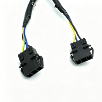 Kabel Harness Multi-End dengan Konektor Campuran, Terminal Spade & Ring Lugs untuk Peralatan Rumah Tangga & Unit Kontrol Elektronik
