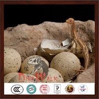 Satılık fiberglas dinozor yumurtası Model dekorasyon