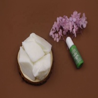Vente en gros de cire de soja naturelle sans fumée et de bloc de cire de noix de coco vierge pour une fabrication efficace de bougies