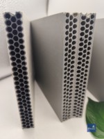 Coffrage en plastique PP pour plateforme de support préfabriquée, infrastructure modulaire, coffrage en béton