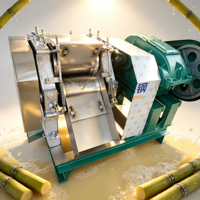 Best verkochte industriële grote automatische fruit- en groente-suikerrietpers van roestvrij staal, 5,5 kW, 380 V, voor restaurantgebruik