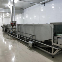 IQF avocado linea di produzione freezer avocado purea di macchine per la produzione di frutta congelata elaborazione lien fornitore