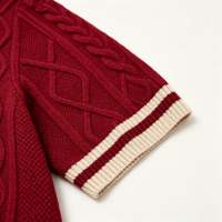 Pulls tricotés pour hommes à manches courtes avec broderie animale et lettres, vente en gros en usine, OEM