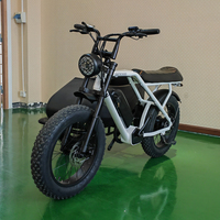 OUKA E 73 Gros Pneu Ebike Vert Super Puissance Pedelec Deux 2 Places Siège Vélo Électrique Rétro Vintage Plage Cruiser Vélo Électrique