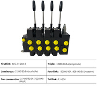 Télécommande sans fil de sortie d'usine pour une installation facile Électrovanne en plastique automatique pour grue hydraulique