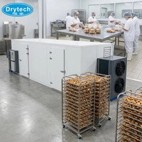 Professionele hoogtechnologische gemberdroogmachine, batch-dehydrator voor groenteverwerkingsbedrijven, SONCAP-certificaat