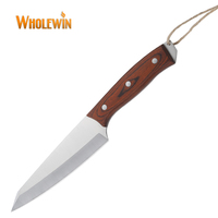 Ensemble de couteaux de boucher Cuisine à domicile Cuisine comprend Chef Couteau à découper Tomate Viande Coupe avec manche en bois Pakka
