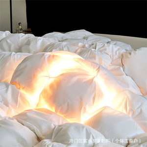 Edredón de Plumón de Ganso de Lujo para Hotel, Cálido y Familiar, 100% Algodón, Lavable a Máquina, con Relleno de Plumón Blanco - Product Image 3