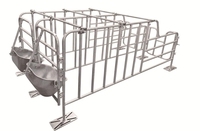 Enclos à porcs galvanisé de haute qualité, box de gestation pour porcs, équipement de clôture durable pour élevage porcin