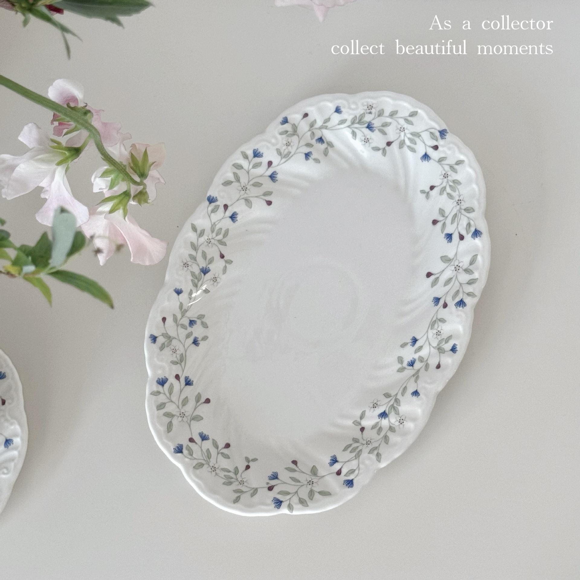 จานรูปไข่