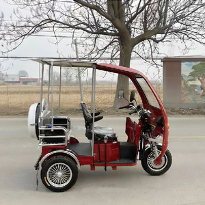 Handicapped Tricycle Power Closed Body Rain Cover 300-400kg Payload for Easy Travel Passenger Motorized Tricycles - Product Image 2