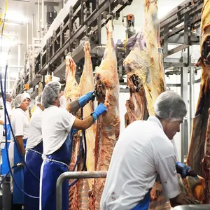 Proyek Rumah Pemotongan komersial peralatan penyembur ternak Halal untuk lokakarya garis pemotong daging mesin Buffalo Abattoir