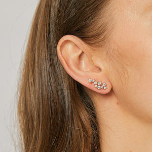 2024 lujo 5A Zircon Mini pendientes moda Animal patrón cobre chapado en oro Real moda latón Stud pendientes regalo a granel - Product Image 5