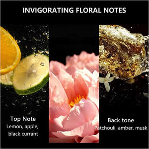 ครีมบำรุงผม <span class=keywords><strong>Alpecin</strong></span> คาเฟอีนแชมพูให้ความชุ่มชื้นผมมืออาชีพขนาด600มล. - Product Image 4