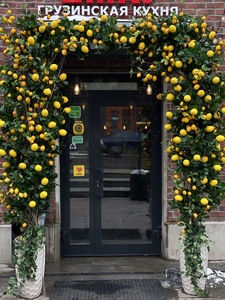 Vigne artificielle de citron en promotion, style italien, pour décoration de plafond d'hôtel - Product Image 1