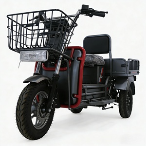 Moto hybride 3 roues à forte capacité de chargement pour la ville, 1000W, moto tout-terrain 3 roues, vente chaude en Inde - Product Image 5