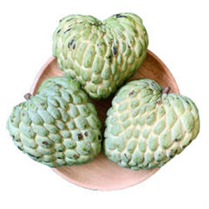 Bubuk buah poxsop pasokan besar kemurnian tinggi kualitas makanan bubuk buah benar-benar larut dalam air - Product Image 2