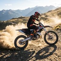 Stark Varg 25KW Volwassen Aangedreven Dirtbike Dubbele Schijfrem 110km/u Off-Road Motocross Volwassenen