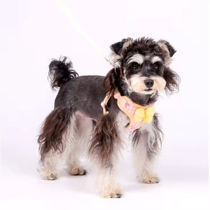 Nuevo Arnés Acolchado para Perros con Correa, Diseño Moderno y Lindo para Gatos y Perros, Decoración Ajustable con Lazo - Product Image 5