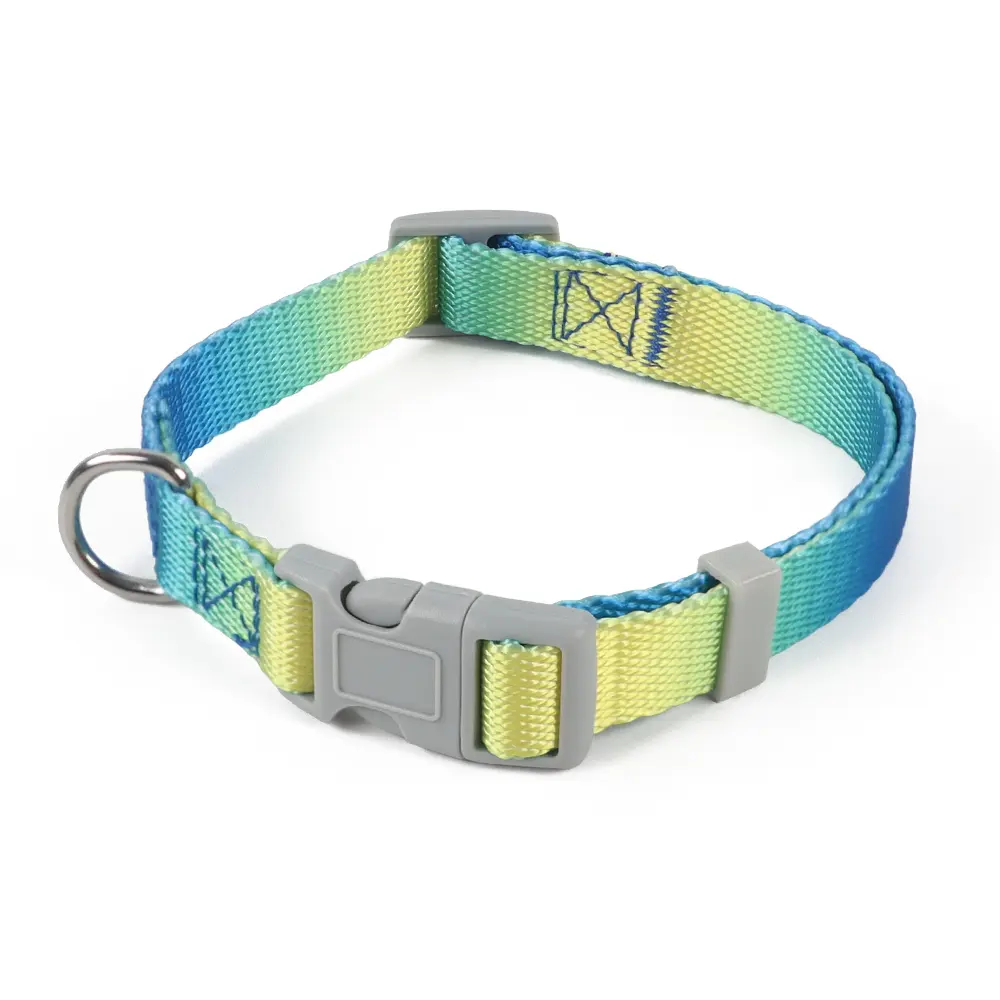 Benutzer definierte mehrfarbige Nylon Hunde halsband und Leine Set Blei Solid Gradient Sieben Farben Heavy Duty Rainbow Seresto Hunde halsband