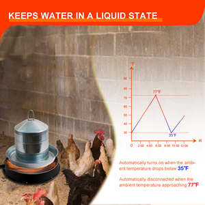 Calentador de <span class=keywords><strong>agua</strong></span> de pollo personalizado, Descongelador eléctrico, Base calentada para <span class=keywords><strong>bebedero</strong></span> de aves de corral en gallinero de invierno - Product Image 5