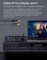 Amplificateur BRZHIFI TPA3255 double cœur HIFI X20 600W haute puissance lecteur de disque USB audio BT