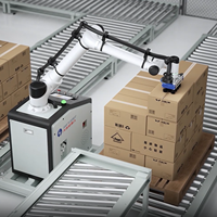 Huayan S20 S30 S40 Cobot Palletizing Robot Workstation 6 Axis Collaborative Robot untuk Pengambilan dan Penempatan Kotak Karton dengan Gripper