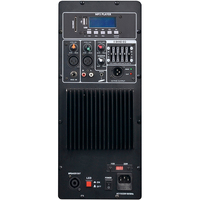 Module d'amplificateur de puissance audio professionnel Accuracy Pro Audio 15AEH-150W de classe AB pour enceintes actives