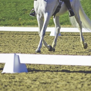 Arène de dressage mobile de cheval blanc résistant aux UV professionnel de PVC pour l'équitation de dressage - Product Image 2