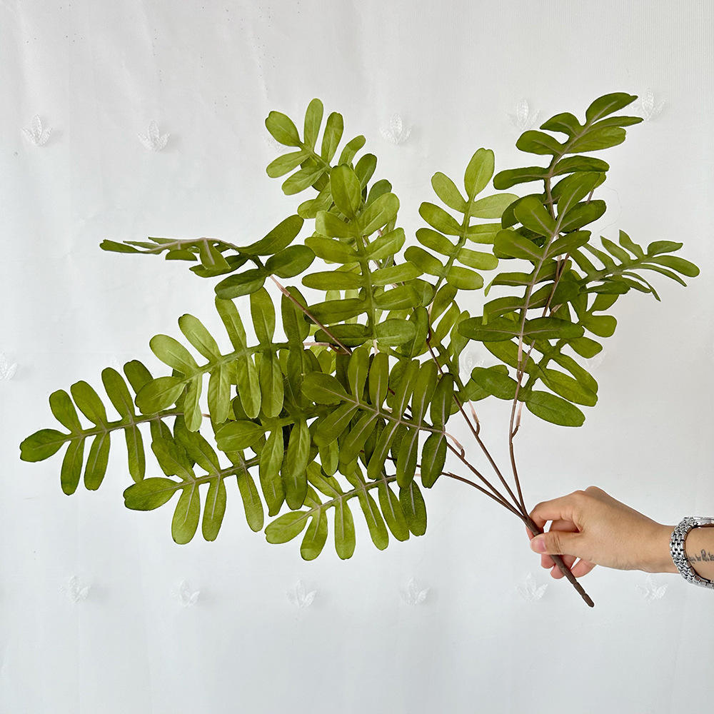 ใบไซเปรสสีเขียว 20 ช่อใหม่