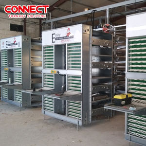 Juego de equipo avícola de <span class=keywords><strong>gallo</strong></span> y <span class=keywords><strong>gallina</strong></span> de varios niveles, sistema de jaula de batería para poner <span class=keywords><strong>huevos</strong></span> de <span class=keywords><strong>gallina</strong></span>, nuevas condiciones, jaulas para pollos de granja - Product Image 4