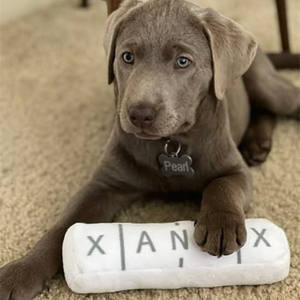 XANAXa giocattoli da masticare per animali domestici all'ingrosso Chill Pup divertente giocattolo per cani parodia di peluche cigolante giocattolo per cani - Product Image 2