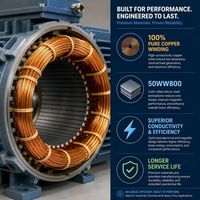 Moteur asynchrone triphasé YE3-100L2-4 3KW, moteur 380v, utilisé dans l'industrie des machines générales.