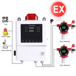 RTTPP Fixed Combustible Gas Leak Detector LEL / LPG / COMB / EX / Natural / CH4 / Methane Gas Content Alarm Monitor
