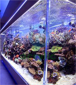 Groothandel Kunsthars Koraal Zeewatertank Decoratie Landschapsarchitectuur Aquarium Decoratie Groot Kleurrijk Zee Koraalrif - Product Image 5