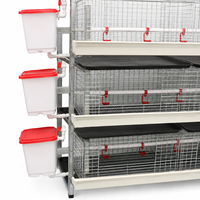 Cage à poulets de chair commerciale HK pour une élevage avicole efficace et une gestion optimale des exploitations avicoles