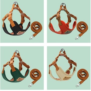 Imbracatura e Guinzaglio in Nylon per <span class=keywords><strong>Cani</strong></span> di Piccola e Media Taglia, Pettorina per Passeggiate all'Aperto Disponibile - Product Image 2