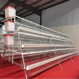 battery hen cages laying hens for sale in china