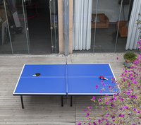 Table de ping-pong d'extérieur résistante aux intempéries en SMC, pliable, pour adultes, pour patio, cour, jardin, école
