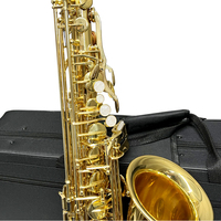 Cost-Effective Aiersi Brand Professional Golden Eb Alto Saxophone with case Hot Sale Woodwind Musical Instruments