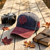 Groothandel op maat gemaakte logo 6-delige gewassen katoenen baseballcap, ongestructureerde retro dad hat met applicatie patch, verstelbare metalen gesp, pet