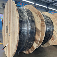 0,6/1kV 3x95 50 mm2 3x150 70 mm2 3x240 120 mm2 3x120 70 mm2 Al/XLPE/PVC Na2xy Aluminium leiter Stromkabel