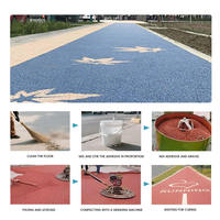Revêtement de sol époxy à base de résine pour pierre lavée, antidérapant, haute résistance, durable, décoratif, bicomposant pour parcs, allées et passerelles