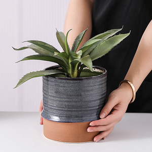 <span class=keywords><strong>Maceta</strong></span> carnosa Combinación Cerámica <span class=keywords><strong>Maceta</strong></span> carnosa <span class=keywords><strong>Maceta</strong></span> creativa <span class=keywords><strong>Terrazo</strong></span> de fábrica directamente - Product Image 3