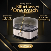 Cuiseur à œufs électrique carré automatique en acier inoxydable, portable, multifonctionnel, cuiseur-vapeur à œufs, classe d'efficacité énergétique