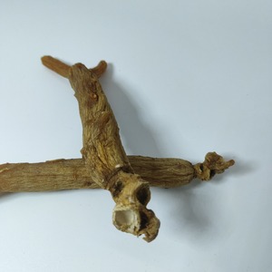 Vente en gros de bâtonnets de ginseng rouge clair séché, sans sucre ajouté, sans ingrédients artificiels, provenant de la montagne de Changbai, pour le Qi et le <span class=keywords><strong>sang</strong></span>, 500g - Product Image 4