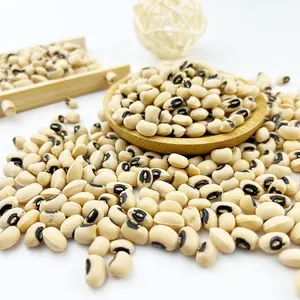 Kualitas tertinggi non-gmo kacang mata hitam kering alami jumlah besar kacang ginjal mata hitam untuk makanan