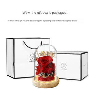 Rose Vere Conservate per Sempre in Cupola di Vetro, Lunga Durata 3-5 Anni, Decorazione da Interni, Miglior Regalo per Mamma, Moglie, Fidanzata, <span class=keywords><strong>Migliore</strong></span> Amica, Nonna - Product Image 4