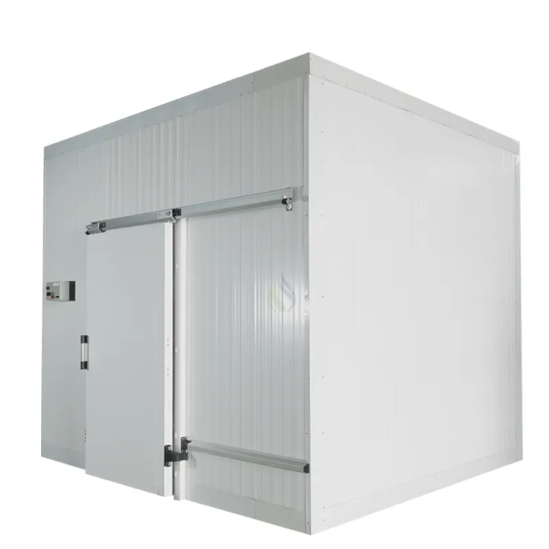 20 Fuß Container Lebensmittelkühlraum Freiluft Gefrierschrank mobiler Container Kühlraum