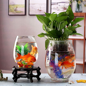 Pot de fleurs en verre pour <span class=keywords><strong>Aquarium</strong></span>, pièces, <span class=keywords><strong>Aquarium</strong></span> pour poissons - Product Image 6
